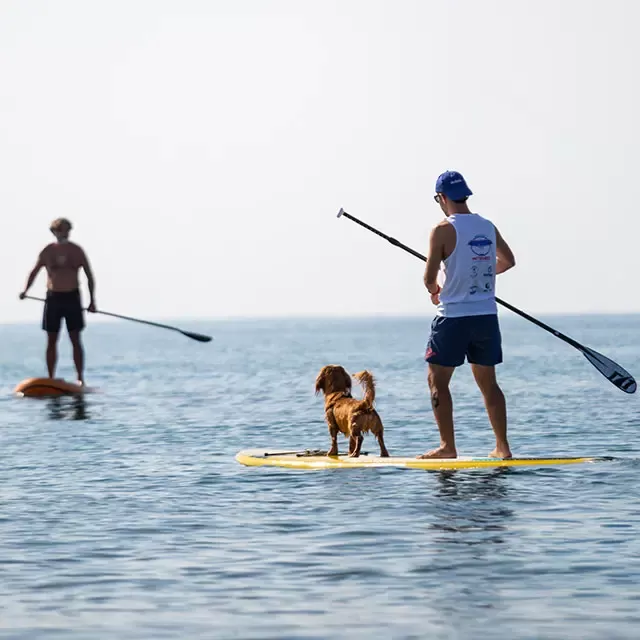 sup lessons