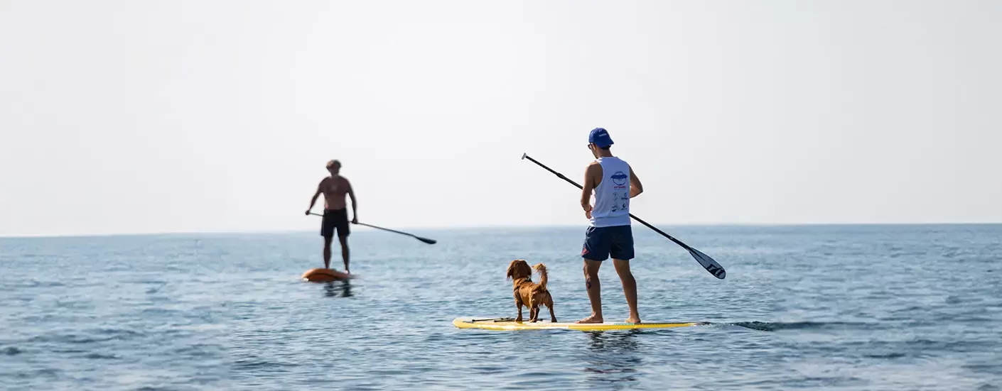 LEARN SUP